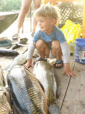 Descansar en Astrakhan: familiaridade con campos de loto e pesca. 15136_3