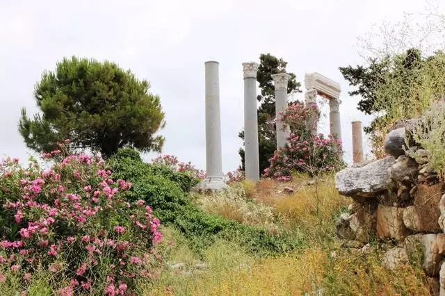 Biblos in Augustus 15198_3