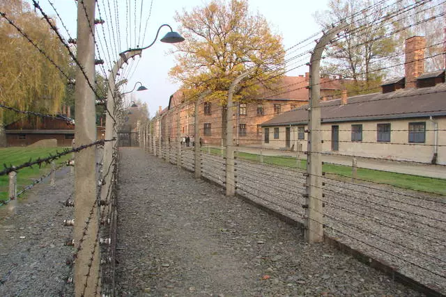 Auschwitz - Post li ta 'min iżur 15452_3