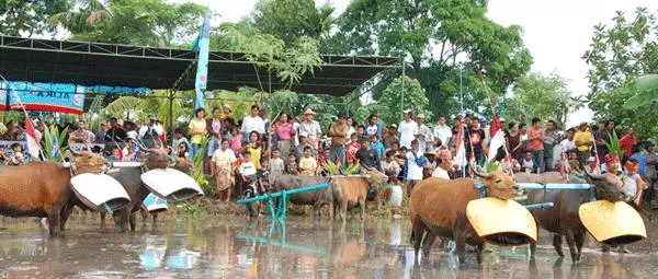 Seisoen ontspan op Lombok. Wanneer is dit beter om op vakansie te gaan na Lombok? 15548_8