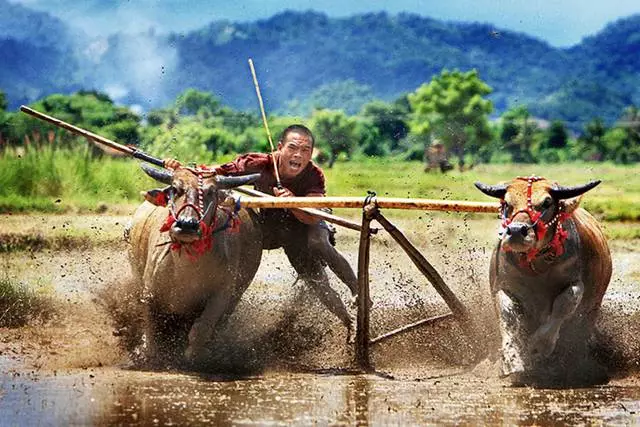 Oge ezumike na lombok. Kedu mgbe ọ ka mma ịga Lombok n'oge ezumike? 15548_9