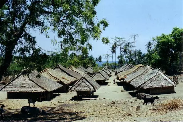 Kendinizi Lombok'ta Tatile Nasıl Çekilir? 15566_10