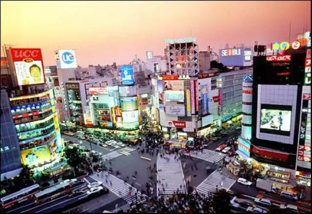 Hotel mana yang lebih baik untuk tinggal di Tokyo? 15754_1