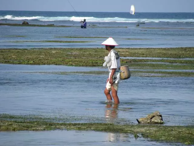 Features of the rest in Sanur 16110_3