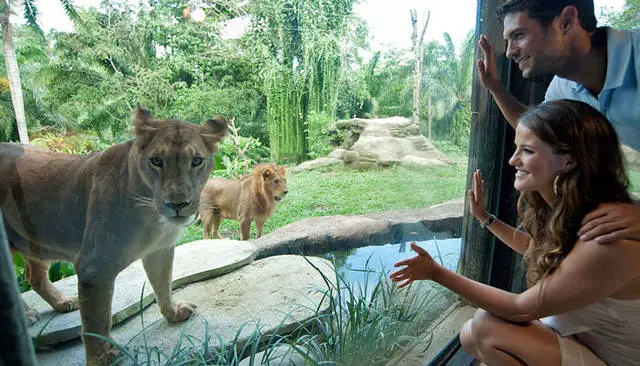 Excursións en Sanour: que ver? 16136_6