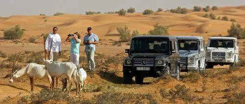 Sharjahに行くべき小旅行は？ 16258_5