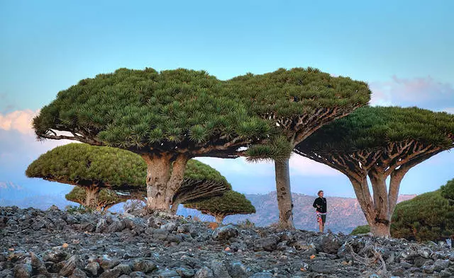 ບ່ອນໃດທີ່ຈະໄປ La Palma ແລະສິ່ງທີ່ຄວນເບິ່ງ? 16396_13