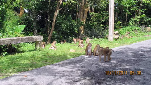 Dies ist das Paradise-Spot Phuket 16426_2