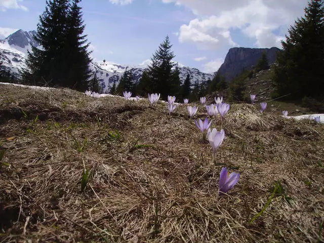 Mennyi az idő jobb pihenni Szerbiában?