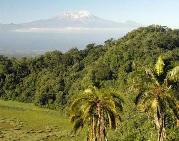 Kateri so zanimivi kraji, ki jih je vredno obiskati Kilimanjaro?