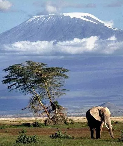 Hvordan tager du dig selv på ferie på Kilimanjaro? 16897_3