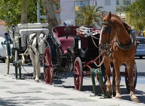 Γιατί είναι το νεύρο κατάλληλο για αναψυχή με παιδιά; 16942_3