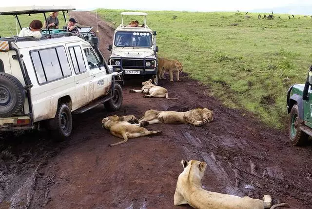 Ass et derwäert op Tanzania ze goen? 17067_2