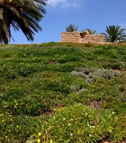 Os lugares mais interessantes em Ashdod. 17404_2