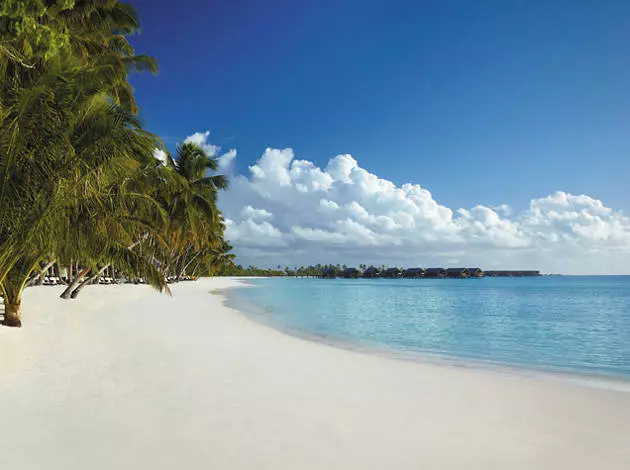 Paradise op ierde bestiet en dit binne Maldiven 17415_2