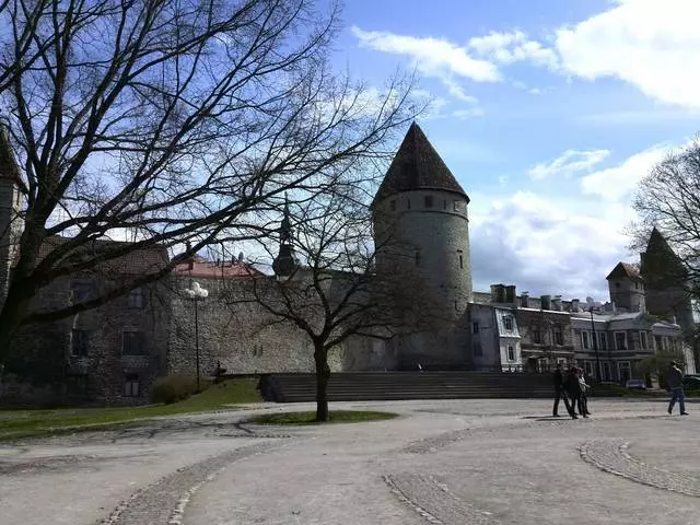 April Tallinn - Mad Wind and Unrestrained Fun!