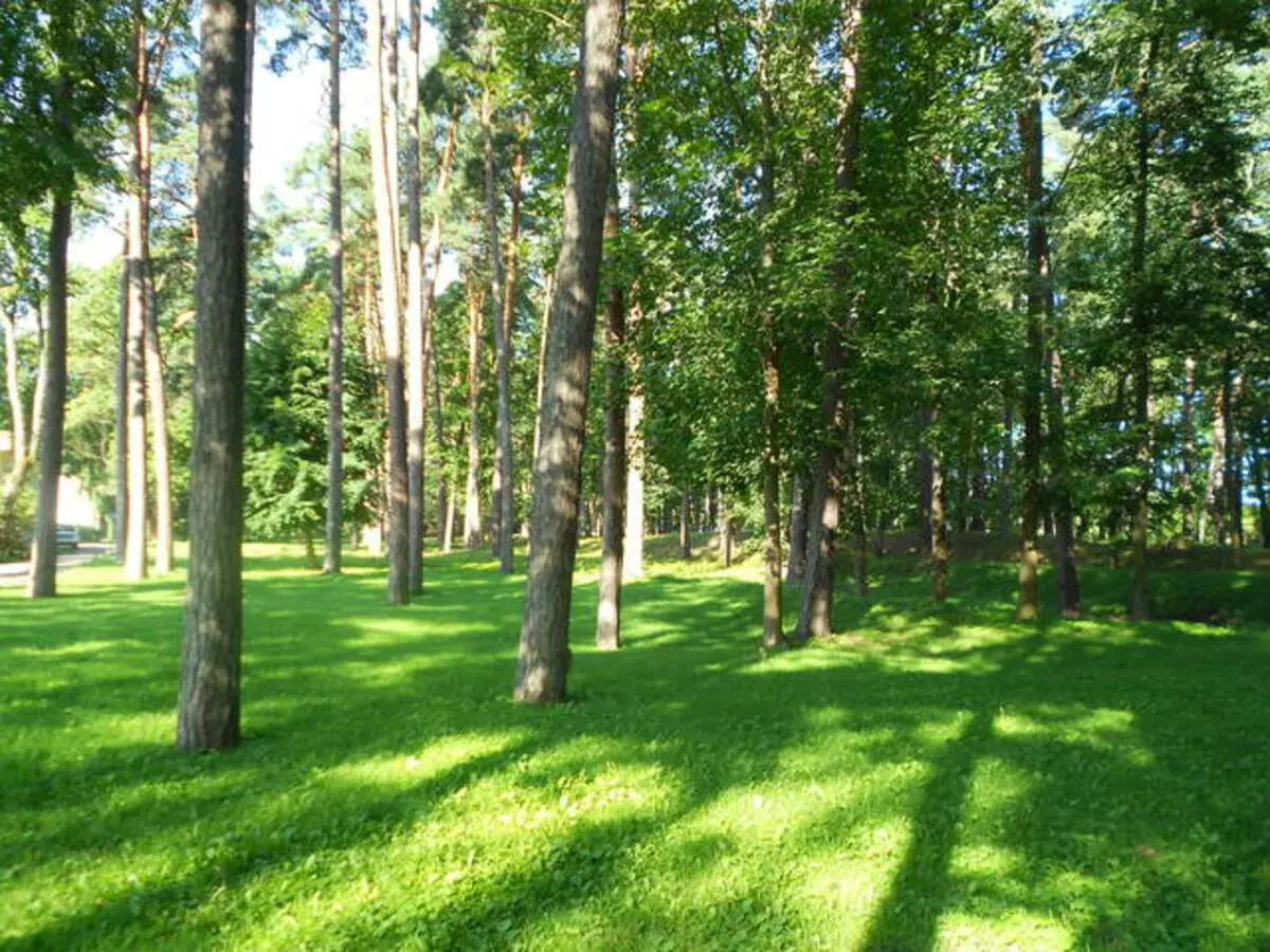 Die paradys is hier op die Amberkus Jurmala