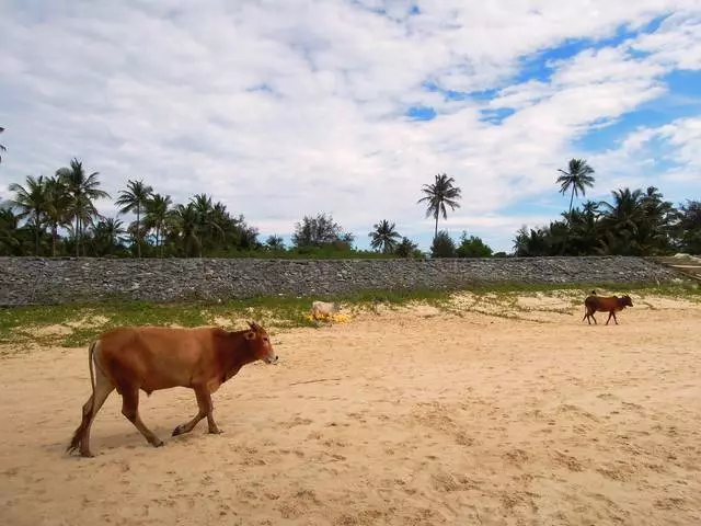 Sing ora kudu menyang Goa North 18225_3