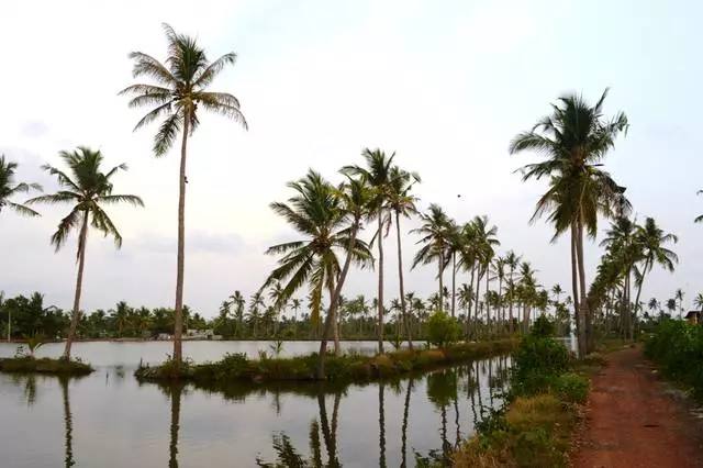 À quelle heure est-il préférable de se reposer au Kerala? 18227_2