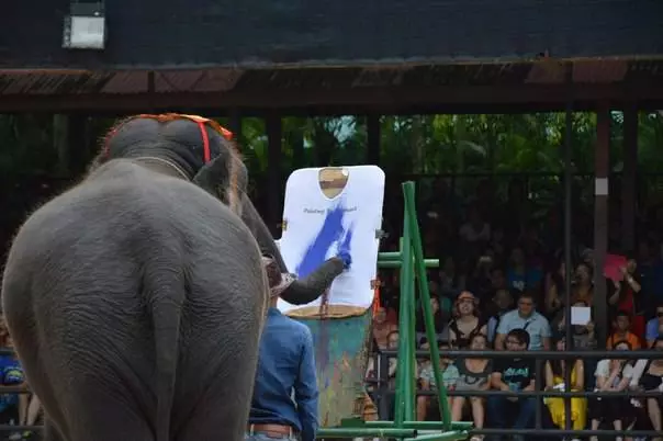 Mia Khao - สถานที่ที่ยอดเยี่ยมสำหรับวันหยุดพักผ่อนที่ผ่อนคลาย 18394_3