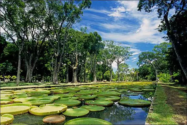 Tempat anu paling pikaresepeun pikeun Mauritius.