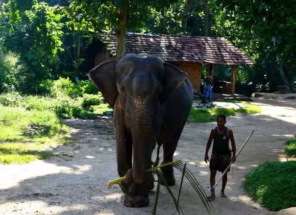 Sri Lanka ni igihugu cyiza ushobora kuvuga kumasaha