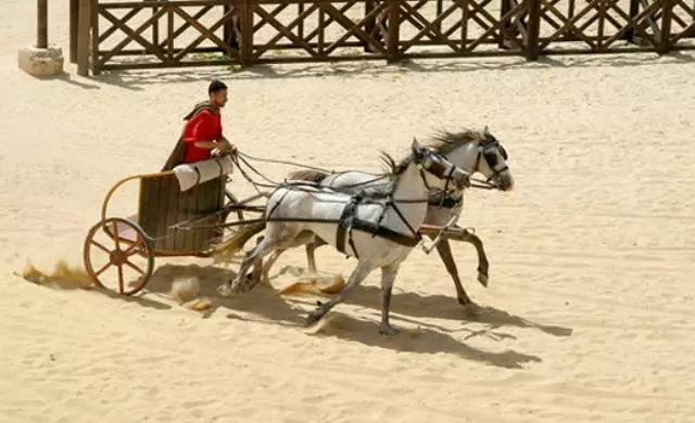 De ce merită să mergi la Jerash? 19284_3