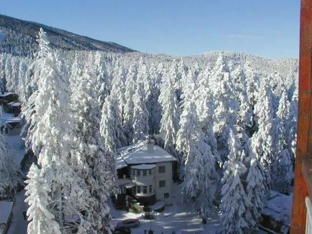 ทุกอย่างเกี่ยวกับวันหยุดใน Borovets: รีวิว, เคล็ดลับ, คู่มือ 192_2