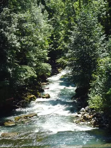 ABKHAZIA - Rustige haven in het midden van de Kaukasische bergen 19527_4