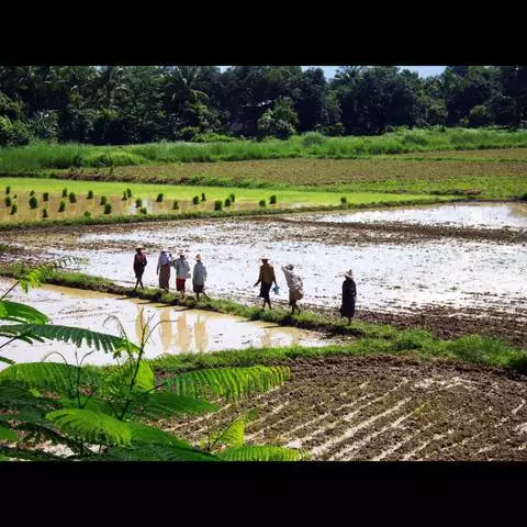 Cele mai interesante excursii din Yangon. 19812_1