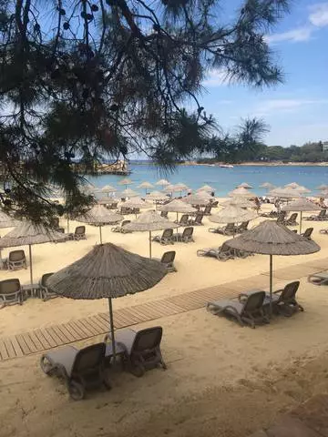 Me ya kamata ku jira daga hutawa a Alanya?