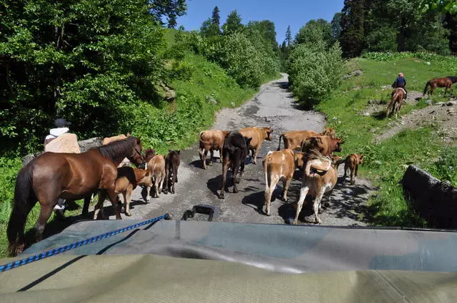 Kio ekskursoj valoras viziti en Gagra? Kie pli bone aĉeti ekskursojn?