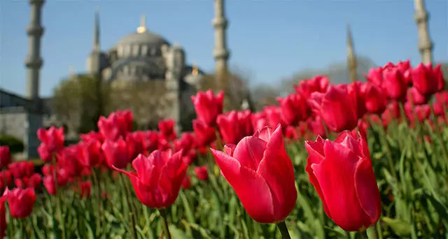 Naon anu kudu dilakukeun dina liburan di istanbul? Hiburan pangsaéna. 19997_2