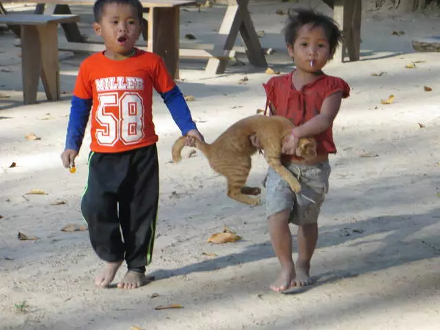 La joog carruurta ku nool Degmooyinka Vientiane. Tilmaamo waxtar leh. 20044_6