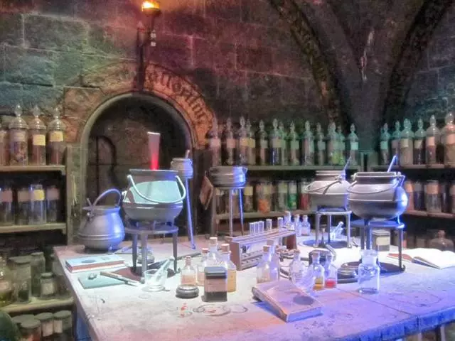 Londonun ətrafındakı Harry Potter Parkı 20276_4