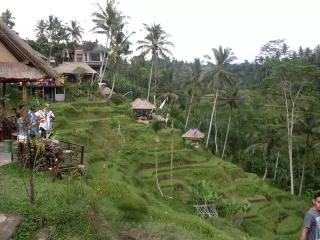 Lafiny hafa amin'ny bali - ebud mahavariana 20301_1