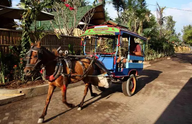 Gili saared: meelelahutus puhkusel 20712_12