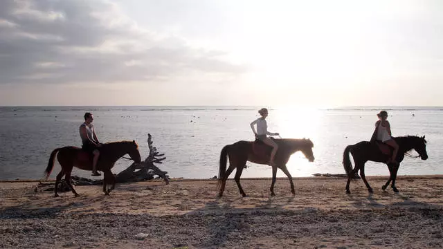 Gili Adaları: Tatilde Eğlence 20712_7