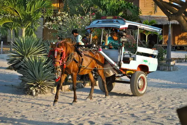 Per què les illes de Gili s'adapten a la recreació amb els nens? 20924_3