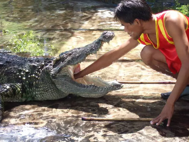 Apa yang harus dilakukan berlibur di Pantai Choeng Mon? Hiburan terbaik. 20985_5