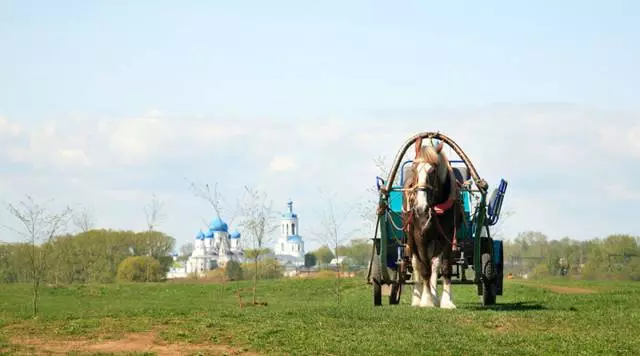 Ресейдегі өзін-өзі демалыстың артықшылықтары. 21197_10