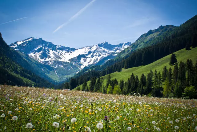 Ano ang maaaring makita sa Liechtenstein.