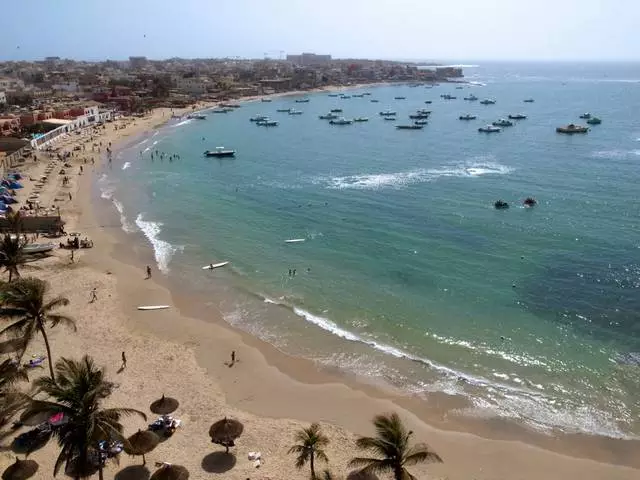 Karakteristik nan rès nan Senegal 21308_11