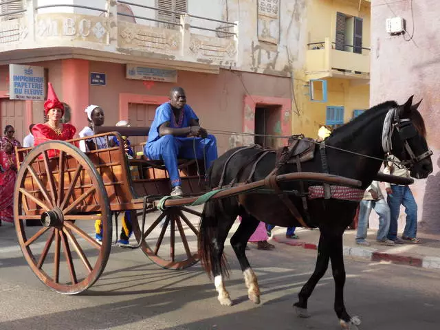 Caracteristicile de odihnă în Senegal 21308_15