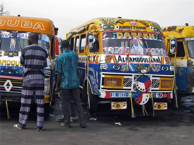 Kenmerke van rus in Senegal 21308_5