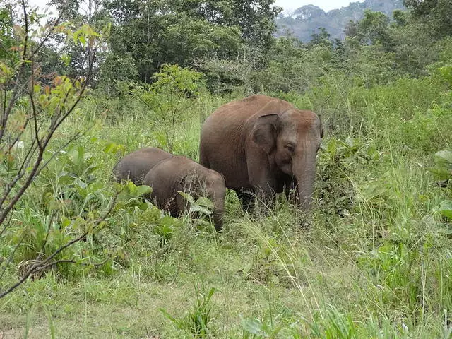 Khabarana: ຄວາມບັນເທີງໃນເວລາພັກຜ່ອນ 21350_5