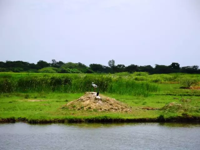 X'għandek tistenna mill-mistrieħ fil-hambantote? 21356_7