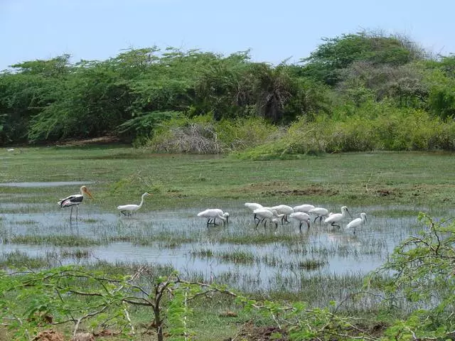 Com es pot fer vacances a Hambantote? 21360_1