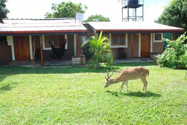 Koji je hotel koji se odlučite za opuštanje u hambantotu? 21370_9