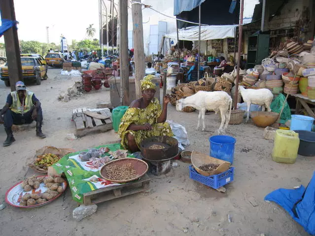 Tlhahisoleseling ea bohlokoa bakeng sa ba eang Senegal 21406_8